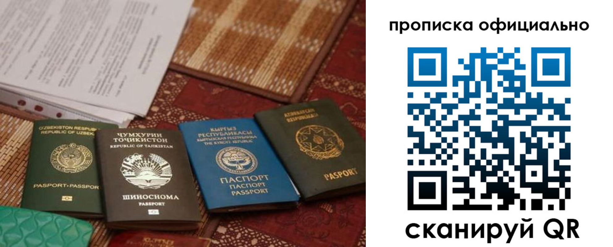 прописка регистрация в Мытищах
