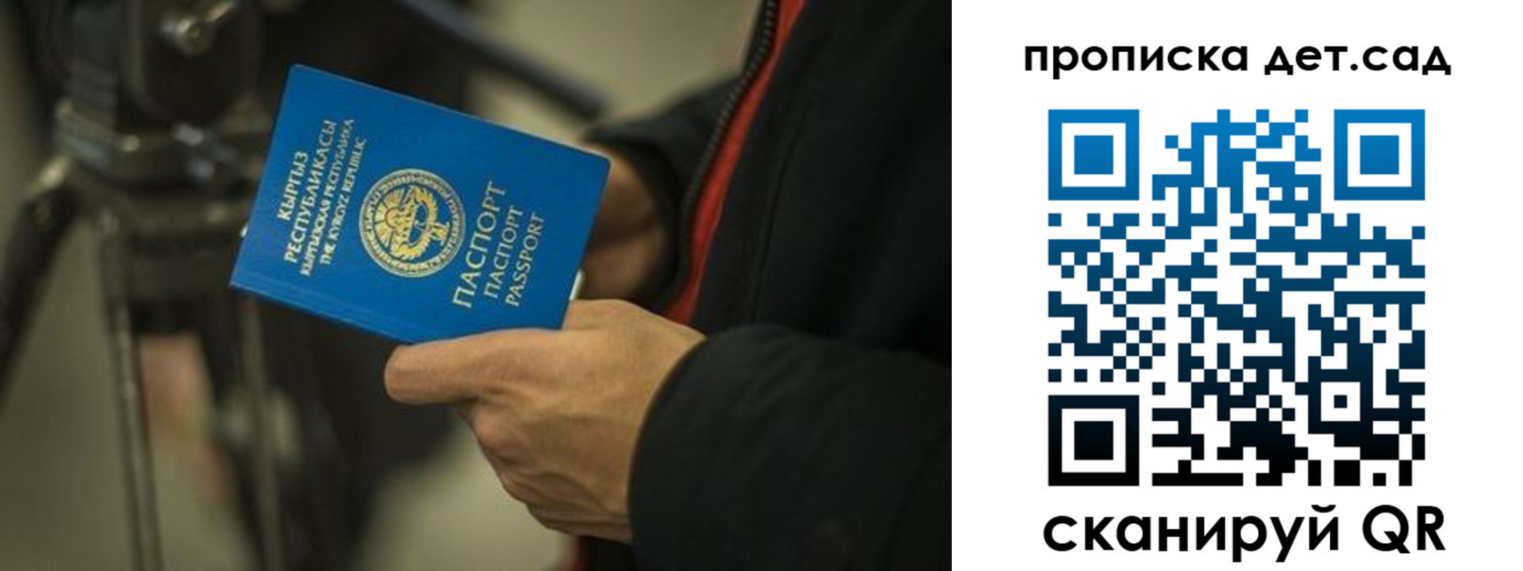 прописка поиск в Мытищах